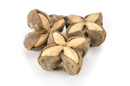 Olej SACHA INCHI - 100% organiczny tłoczony na zimno 20 ml Esent