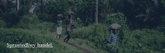 Organiczny olejek z baobabu, nawilżający, do skóry i włosów, Zero Waste, 100 ml, Eliah Sahil